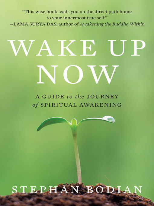 Title details for Wake Up Now by Stephan Bodian - Available